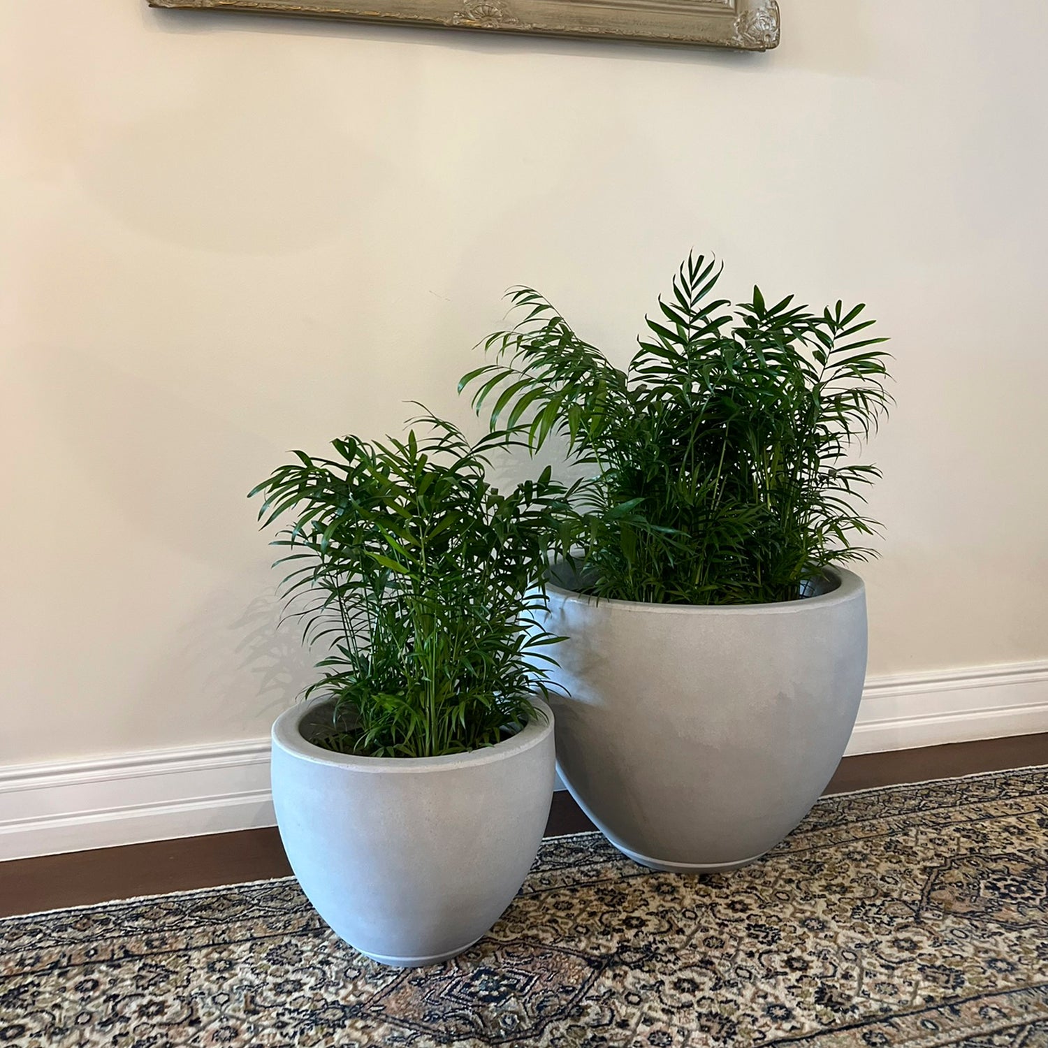 Macetero Tantauco 26 Gris Claro - Form Design