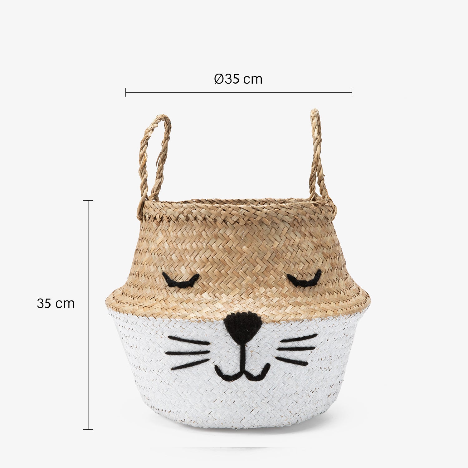 Canasto Roger M - Form Design