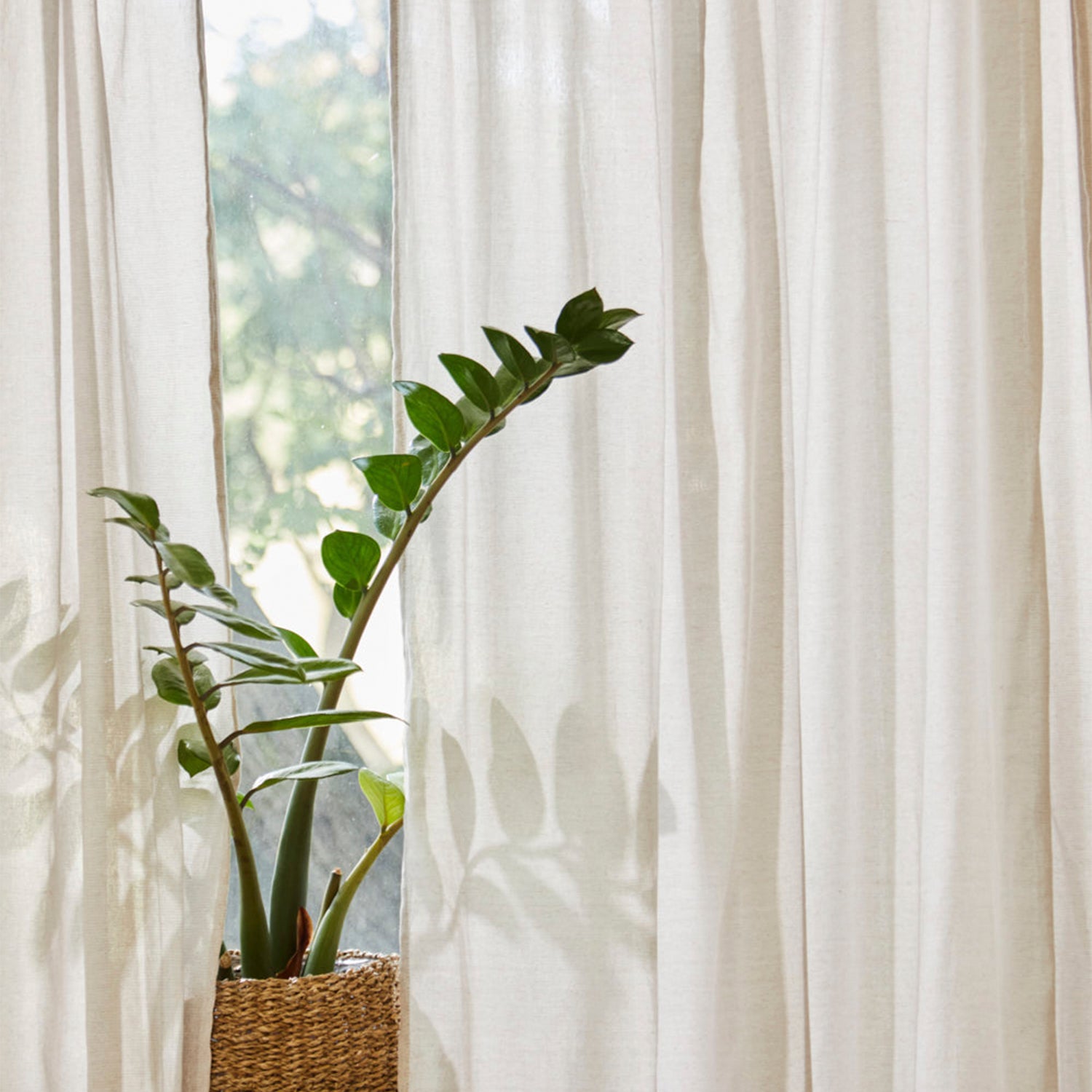 Cortina Bot 140x280 Crudo